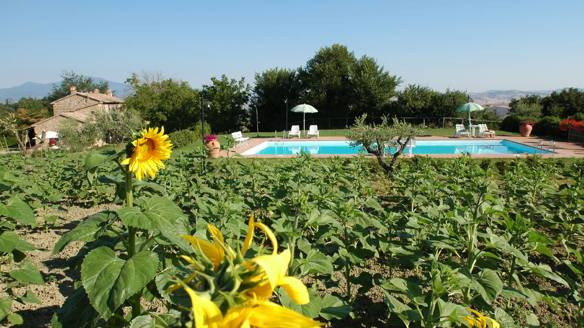 swimming pool