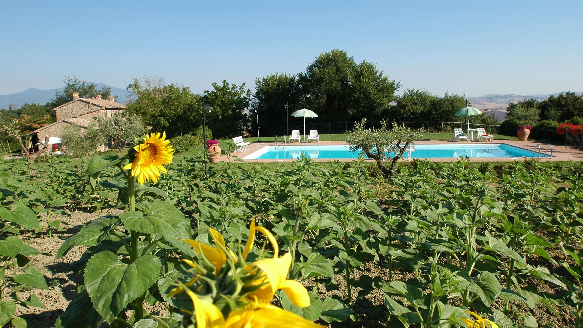 Agriturismo Poggio Porsenna