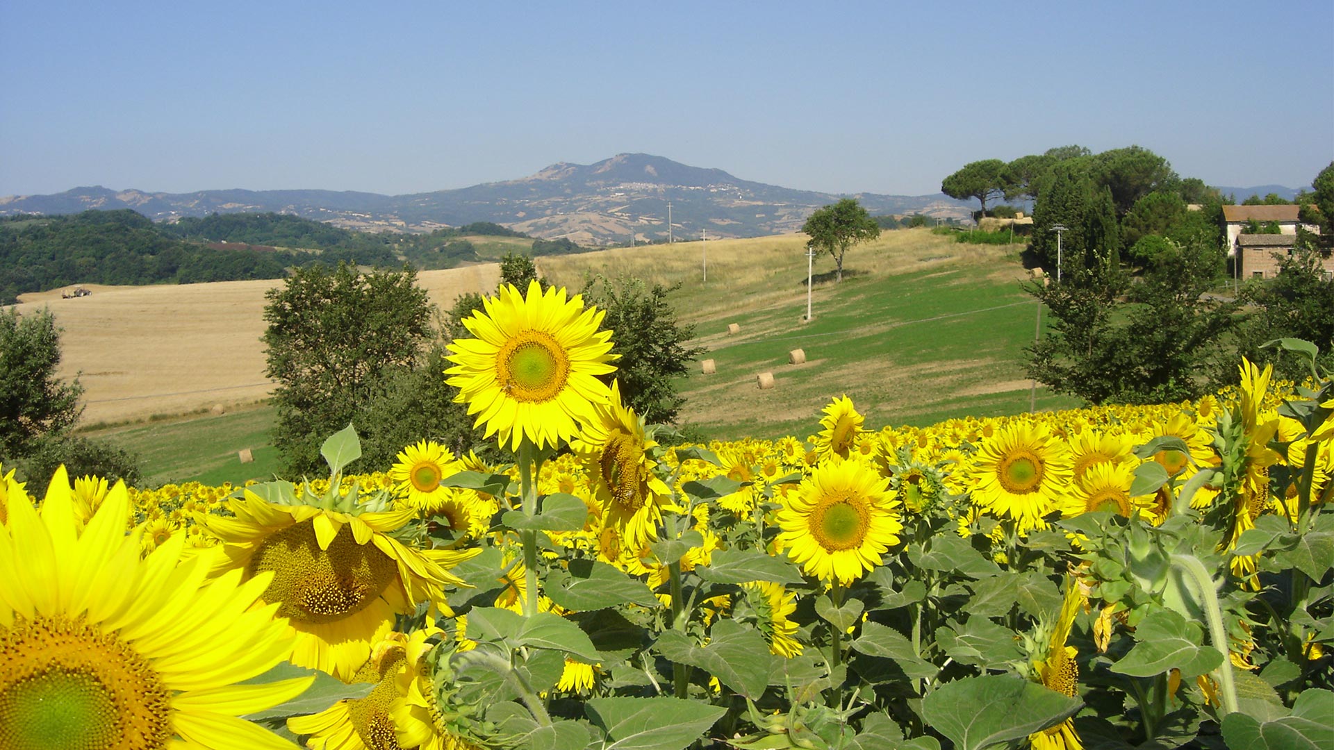 Agriturismo Poggio Porsenna