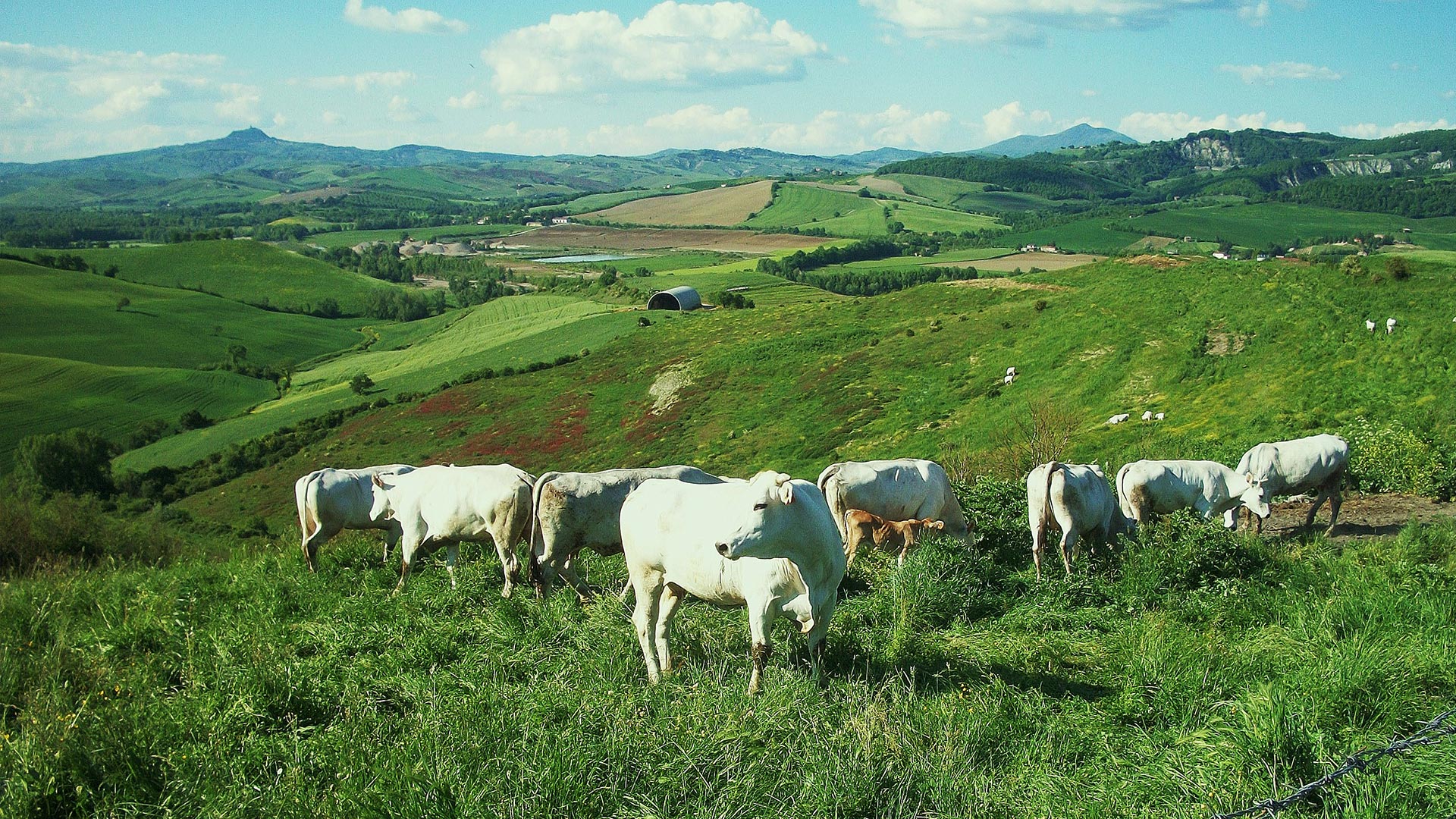 Agriturismo Poggio Porsenna