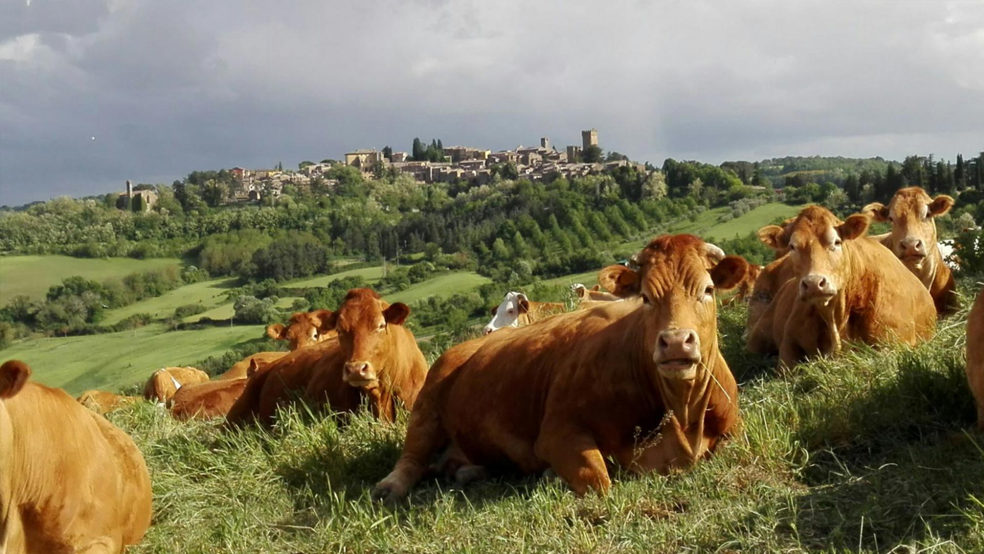 Agriturismo Poggio Porsenna