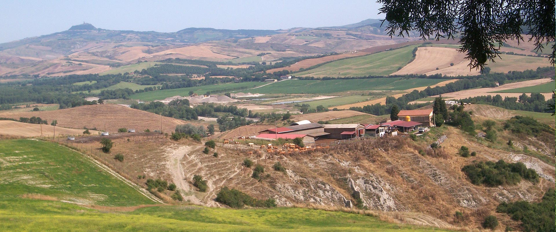 Azienda Agricola