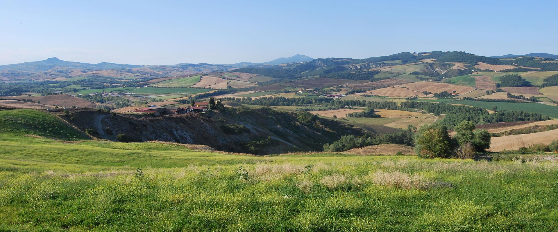 Azienda Agricola